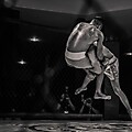 MMA