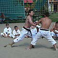 2008_Okuninka_Dz2_ 327