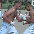 2008_Okuninka_Dz2_ 336
