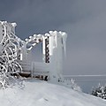 foto_50