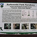 foto_8