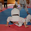 foto _105